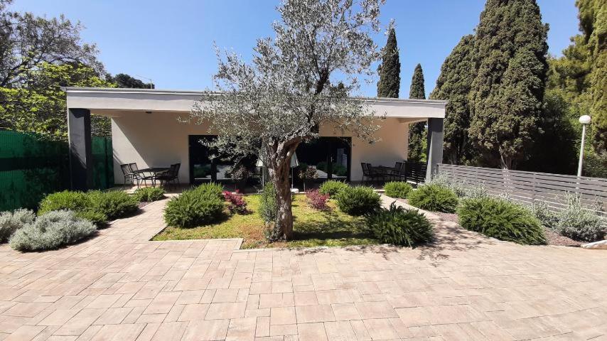 Apartmani Brajkovic Ρόβινι Εξωτερικό φωτογραφία